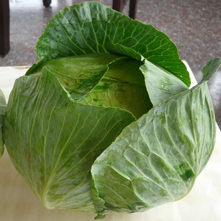 Хрскави свеж купус